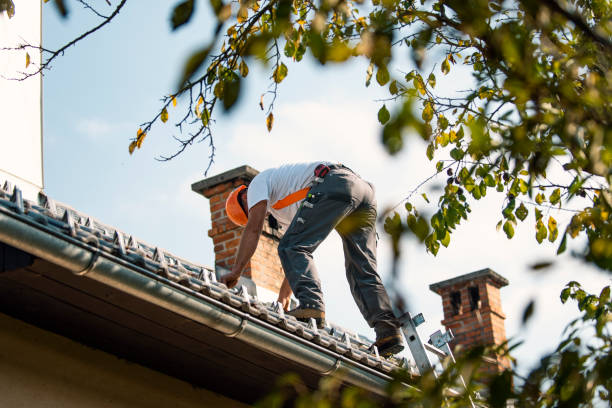Best Roof Maintenance Services  in Hazel Crest, IL