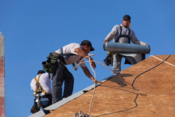 Roof Waterproofing Services in Hazel Crest, IL