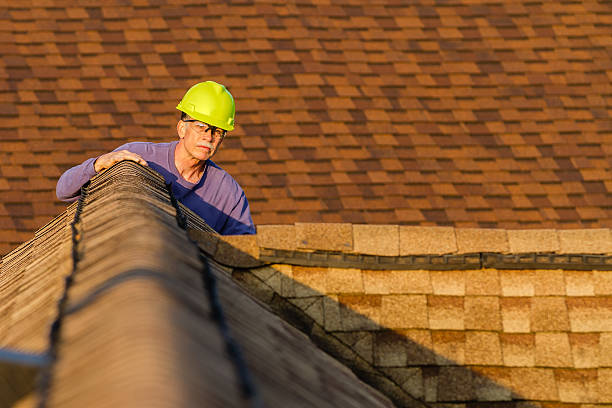 Best New Roof Installation  in Hazel Crest, IL