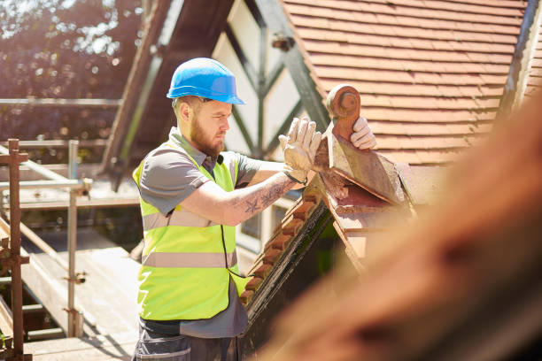 Best Roof Leak Repair  in Hazel Crest, IL